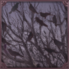 Croaking Ravens