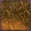 Grassy Den