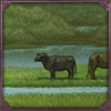 Nile Delta