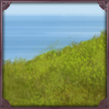 [Raffle] Coast