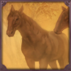 Trot in the Morning Mist