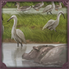 [Raffle] Shores of Burundi