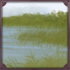 [D] Marshlands