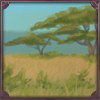[D] Temperate Savannah