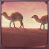 Romantic Dunes
