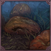 Rotting Pumpkin Patch