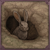 Whack-a-Rabbit
