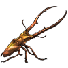 Oasis Beetle: Cyclommatus metallifer