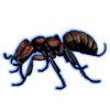 Beetle Nemesis: Adetomyrma venatrix [Dark]