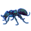 Beetle Nemesis: Adetomyrma venatrix [Iridescent]