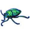 Beetle: Calidea dregii [Emerald]