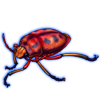 Beetle: Calidea dregii [Red]