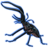 Beetle: Chiasognathus grantii [Jet]