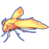 Beetle Nemesis: Deilephila porcellus [Golden]