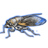Beetle Nemesis: Dyticopycna semiclara [Gray]