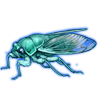 Beetle Nemesis: Dyticopycna semiclara [Turquoise]