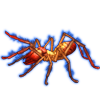 Beetle Nemesis: Galeodes arabs [Fiery]