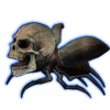 Beetle: Homunculus [Rot]