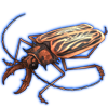 Beetle: Macrodontia cervicornis [Cream]