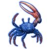 Beetle Nemesis: Tubuca urvillei [Cobalt]