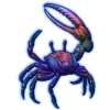 Beetle Nemesis: Tubuca urvillei [Iridescent]