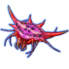 Beetle Nemesis: Gasteracantha versicolor [Pink]