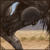 Abyssinian Horse