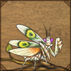 Spiny Flower Mantis