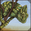 African Chameleon