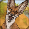 [GE - Middle East] Arabian Red Fox