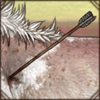 Hunting Arrows
