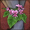 Heart-Leaved Pelargonium Corsage