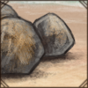 Beach Rocks [Behind]