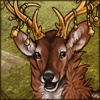Bozić's Deer Companion