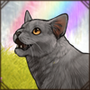 Purring British Shorthair