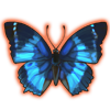 Western Blue Charaxes