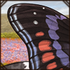 Butterfly Wings - Purple Commodore [Top]