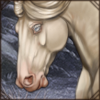 Aging Cremello Horse