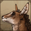 Curious Sable Antelope Calf