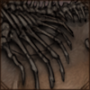Dark Bone Armour