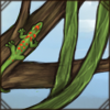Madagascar Day Gecko