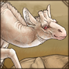 Albino Giraffe Calf