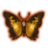 Black-Bordered Charaxes