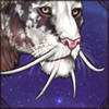 Draco Whiskers [White]