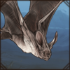 Egyptian Slit-Faced Bat