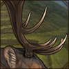 Elk Antlers