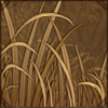 Fine Grass