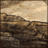 Petrified Wood Chunks