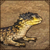 Giant Girdled Lizard