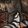 Scavenged Zebra